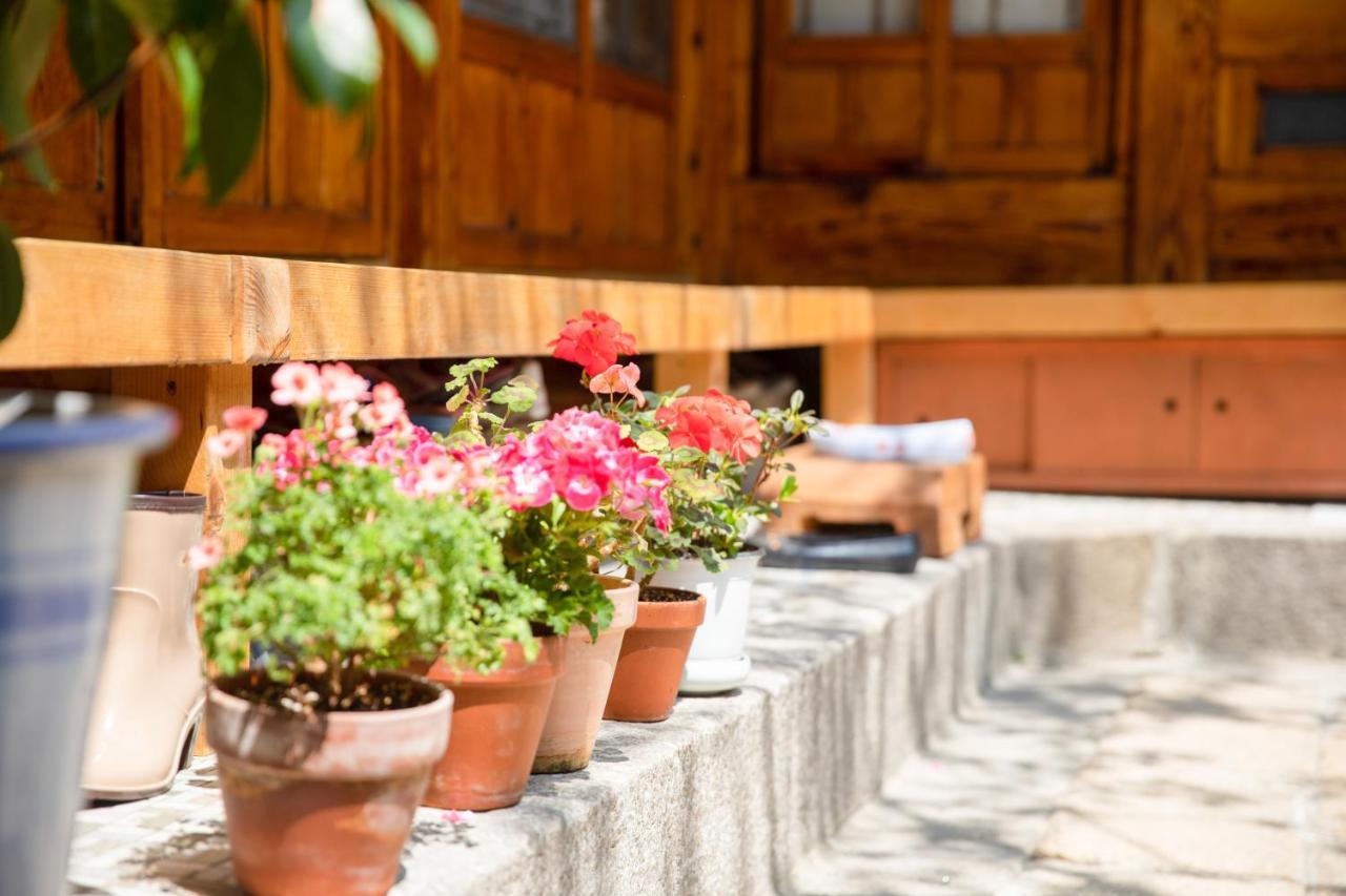 Dongmyo Hanok Sihwadang - Private Korean Style House In The City Center With A Beautiful Garden Seoul Exterior foto